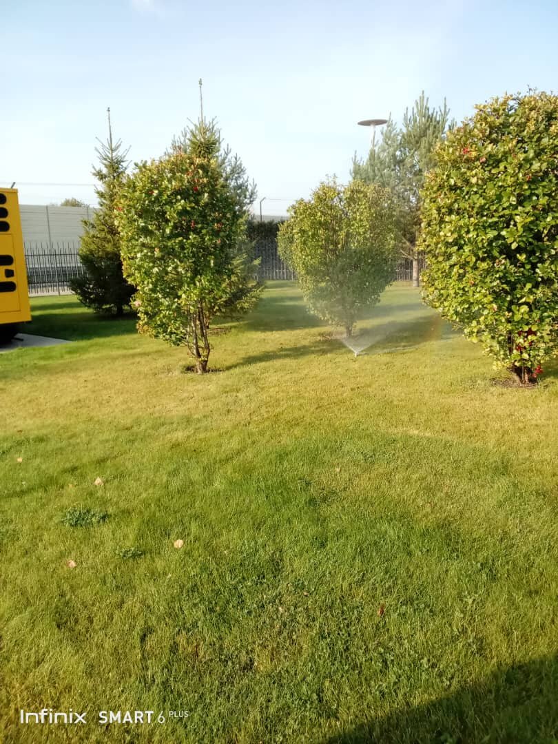 Автоматический полив газона 