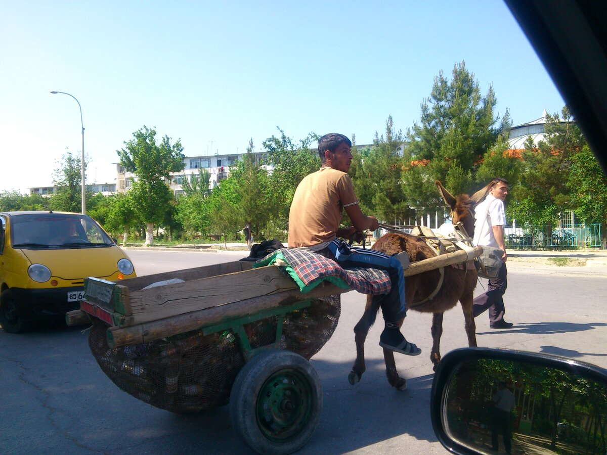 Все еще думаете, что узбеки ездят на ослах? Новый завод в Узбекистане. |  Ешь, путешествуй, живи | Дзен