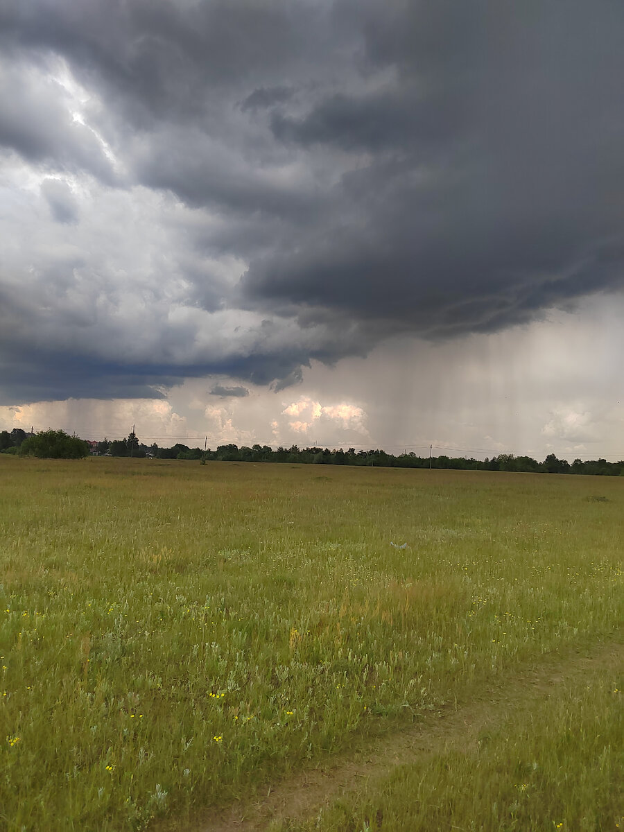 Подсказка от Вселенной: "Пора отпустить прошлое! Мы любим держаться за знакомые вещи, но всему новому требуется место для развития. Нужно что-то отпустить, чтобы позволить родиться новому, и оно принесет гораздо больше пользы.  Перемены близко, и они к лучшему, поэтому не стоит противиться им. "