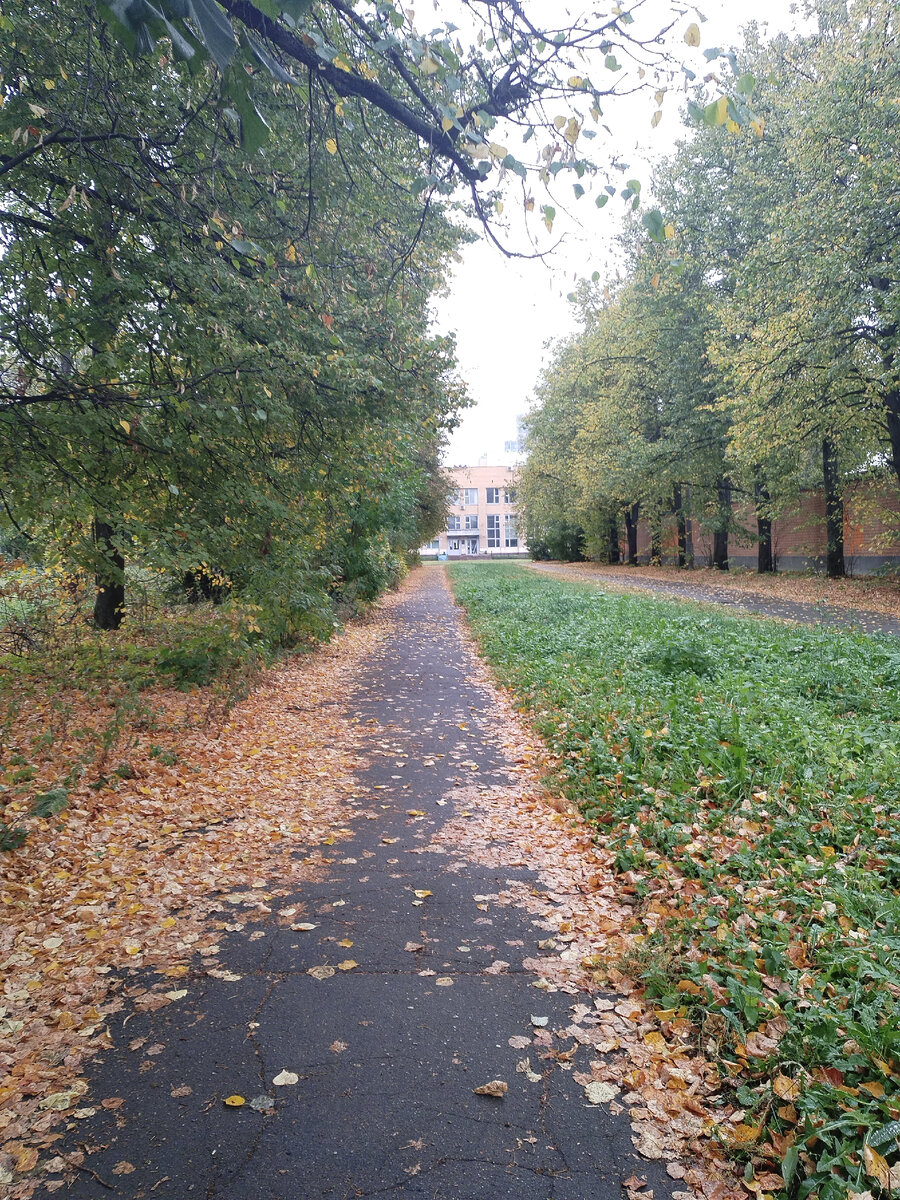 Дорожка через стадион, часть моего маршрута для бега