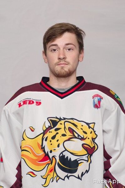 Александрович пожаров