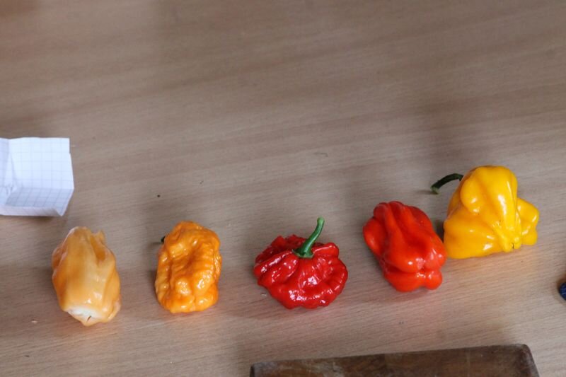 СЕМЕННОЙ ФОНД ВКУСНО-ОСТРОГО