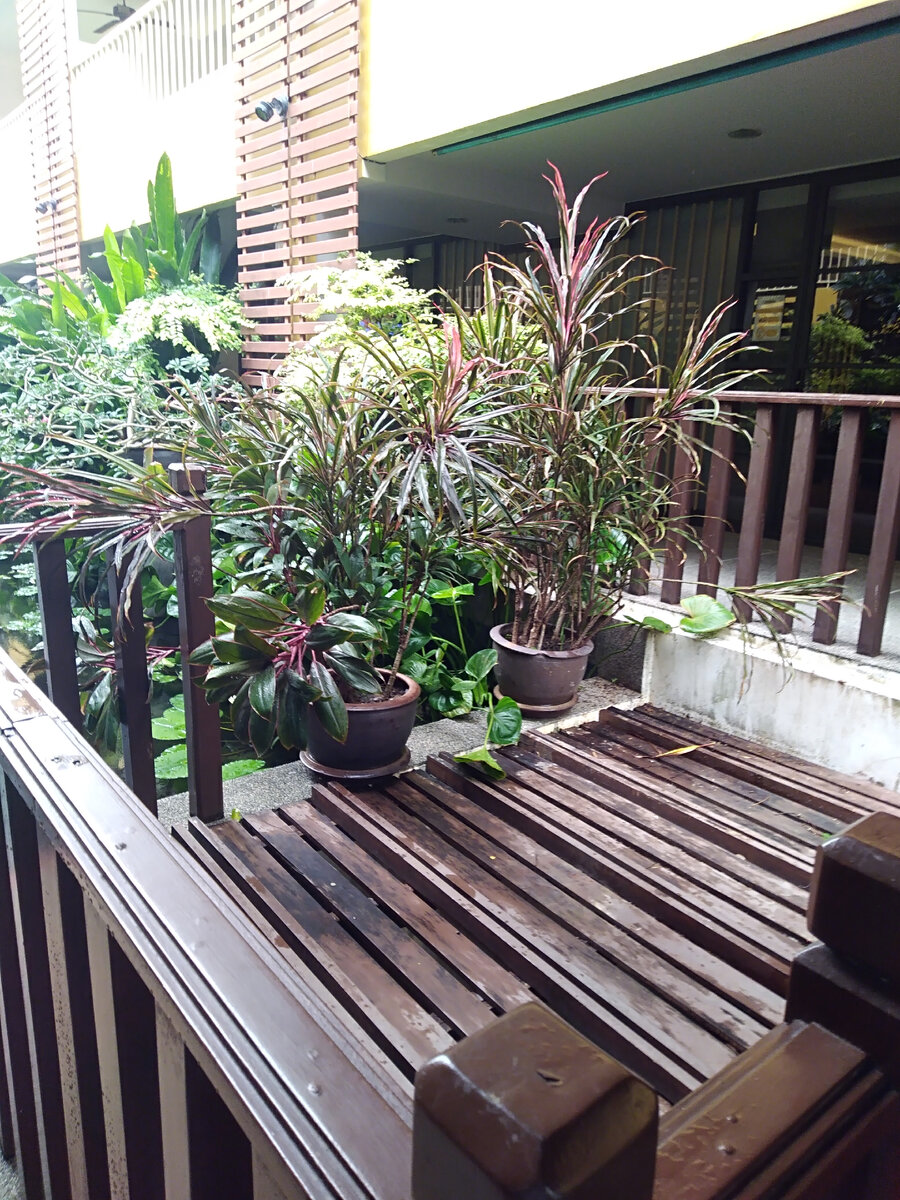 На территории отеля.