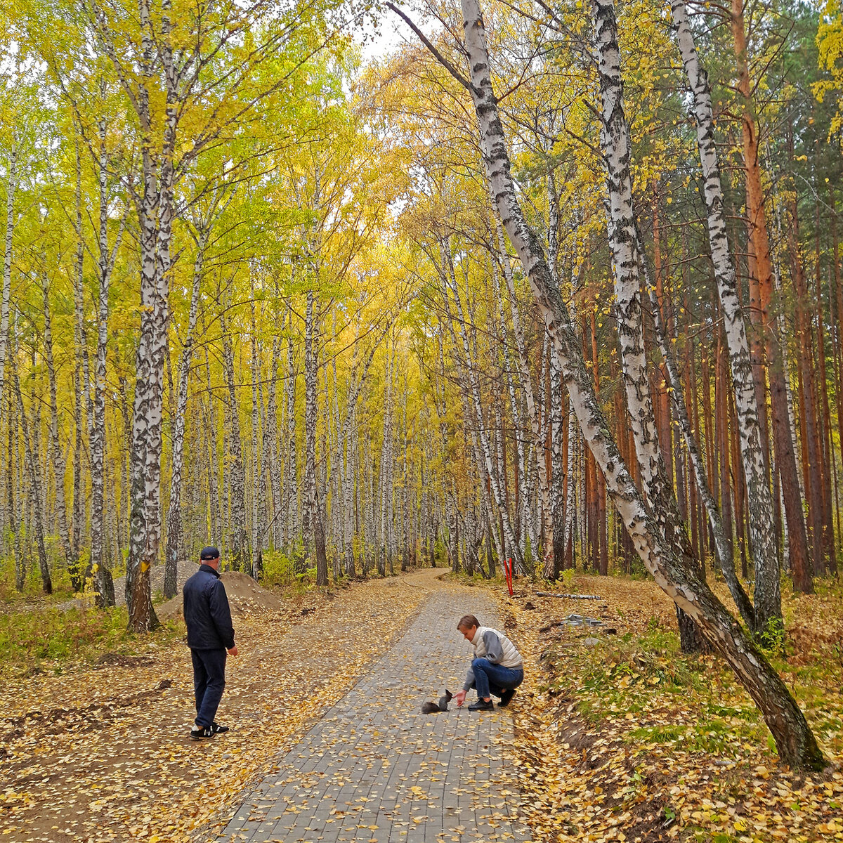     Часть тропинок уже покрыты брусчаткой, и красноярцы вовсю гуляют, ловя стремительно уходящую из города золотую осень