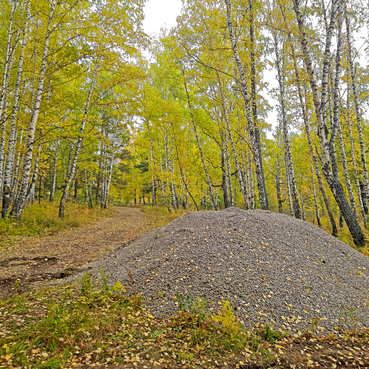     То тут, то там по осеннему лесу разбросаны кучи гравия, который будут укладывать на будущие тропы с твердым покрытием