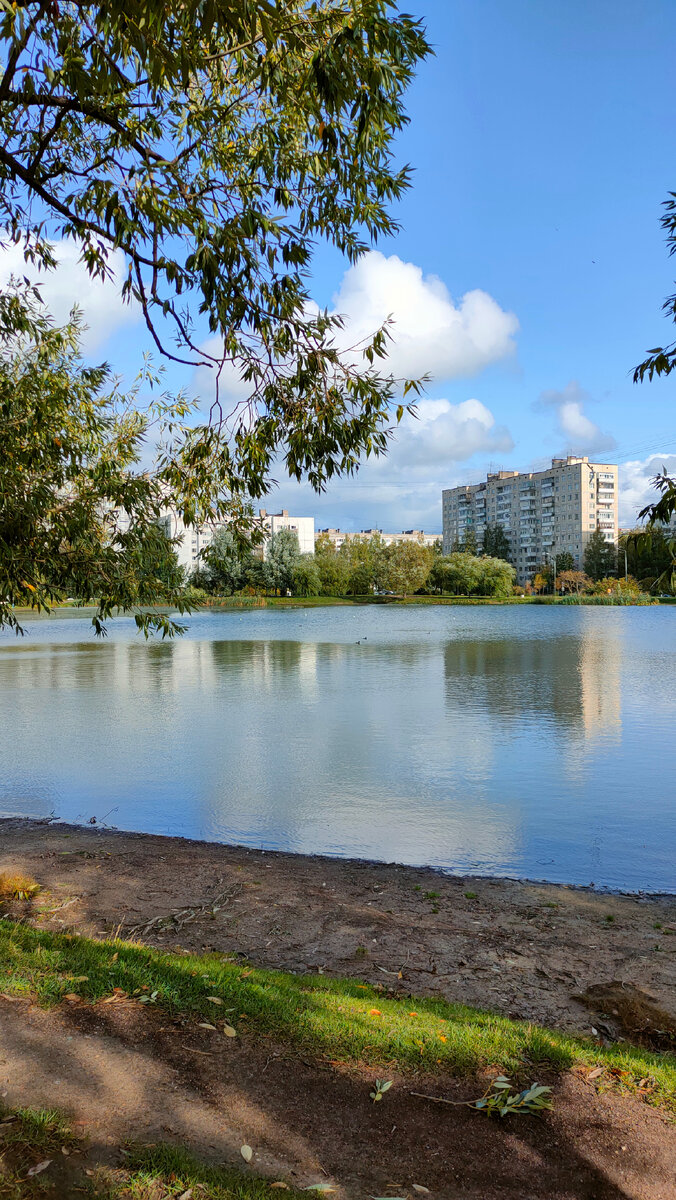 Фото автора 