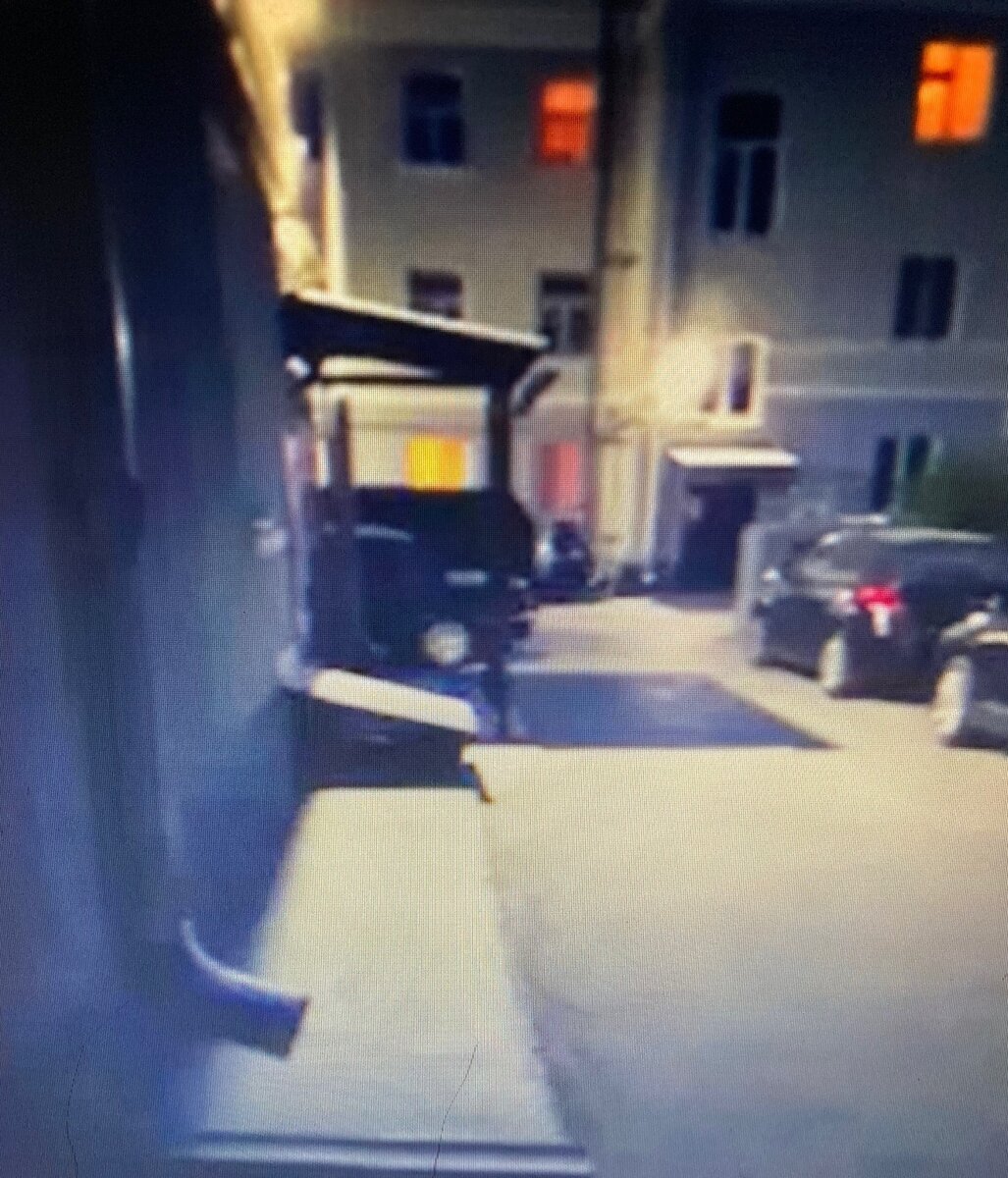 Фото - кадр из видео "Прогулка" (съёмка - С.Абакумова)