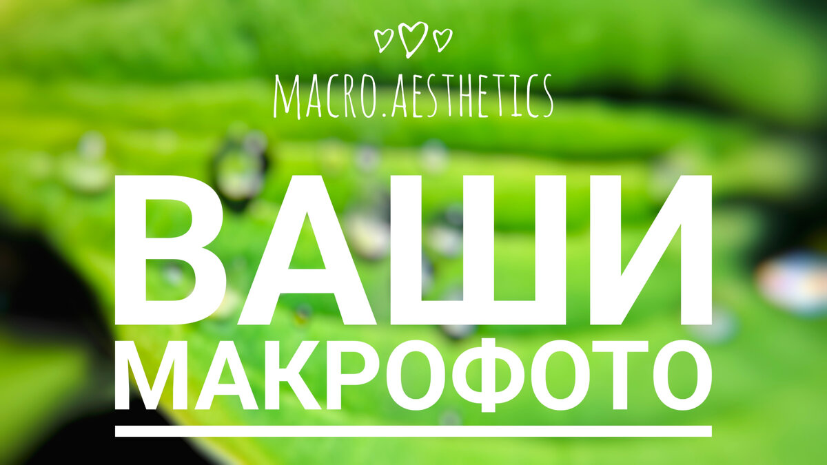 Картинка автора 