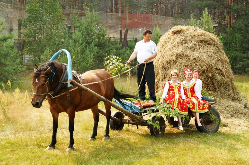 Идеи для агротуризма