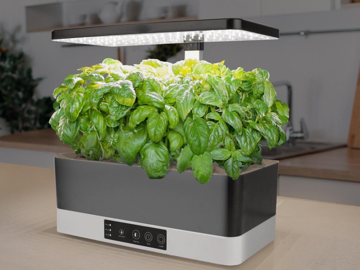    Умный горшок SproutHub позволяет заниматься фермерством прямо на кухне