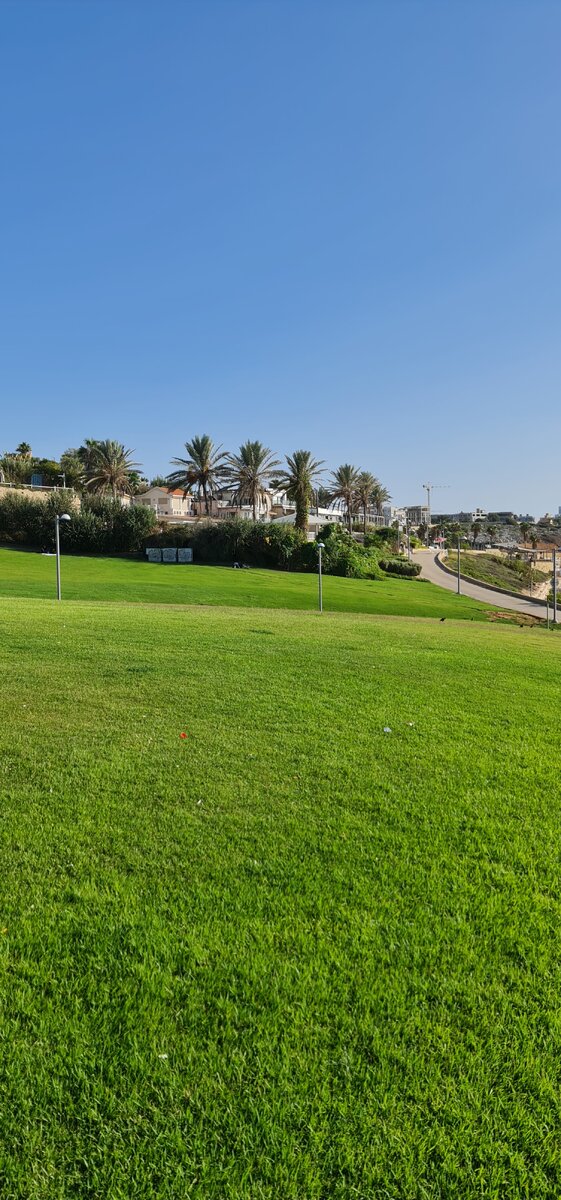 Соскучилась за березками...