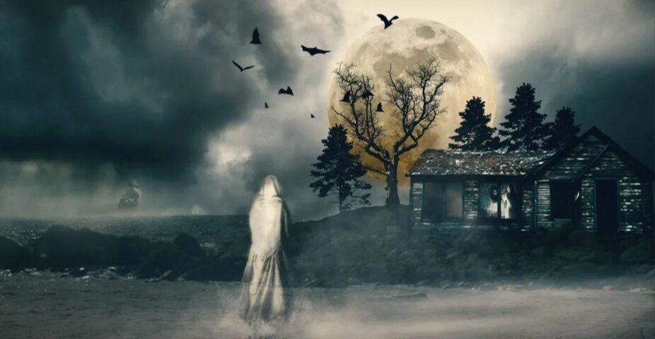 Светлый плащ привидением выскочил из темноты ( взято из Яндекс картинки)