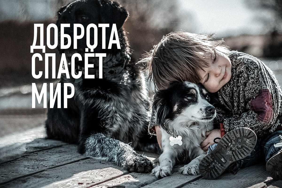 Зоопарк организовал конкурс на определение самого милого животного года