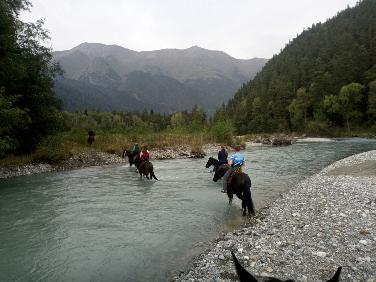 сижу на лошадке ни жива, ни мертва