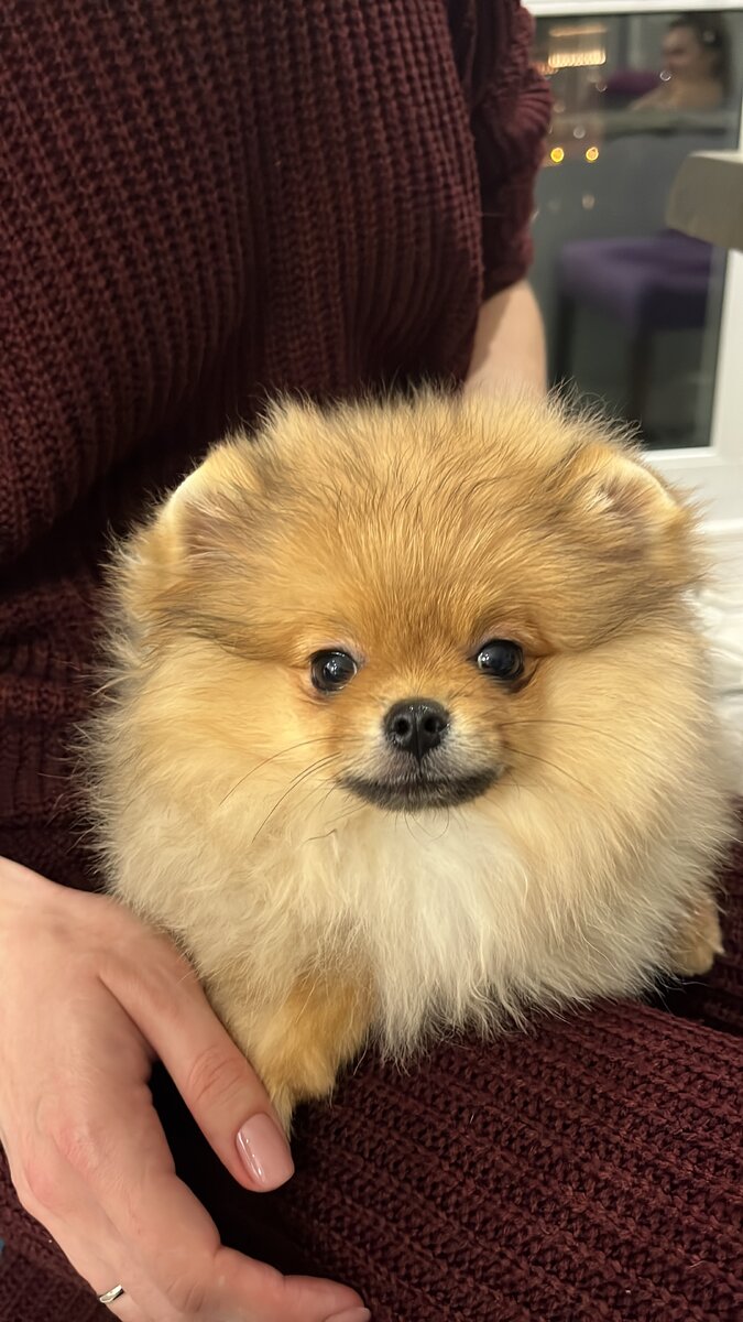 еще совсем малыш 😍