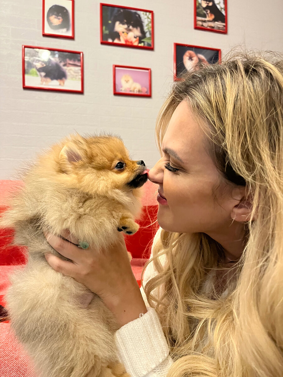 Первая встреча 