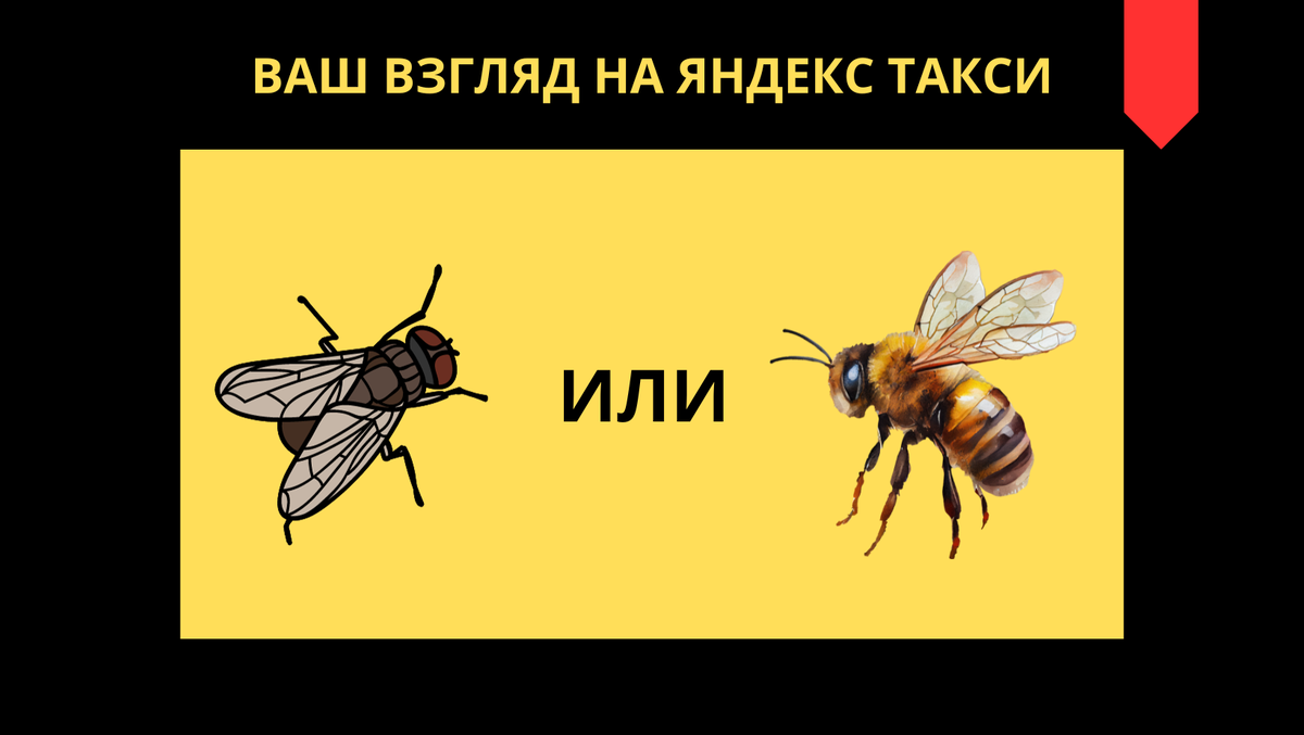 Или или? Или?