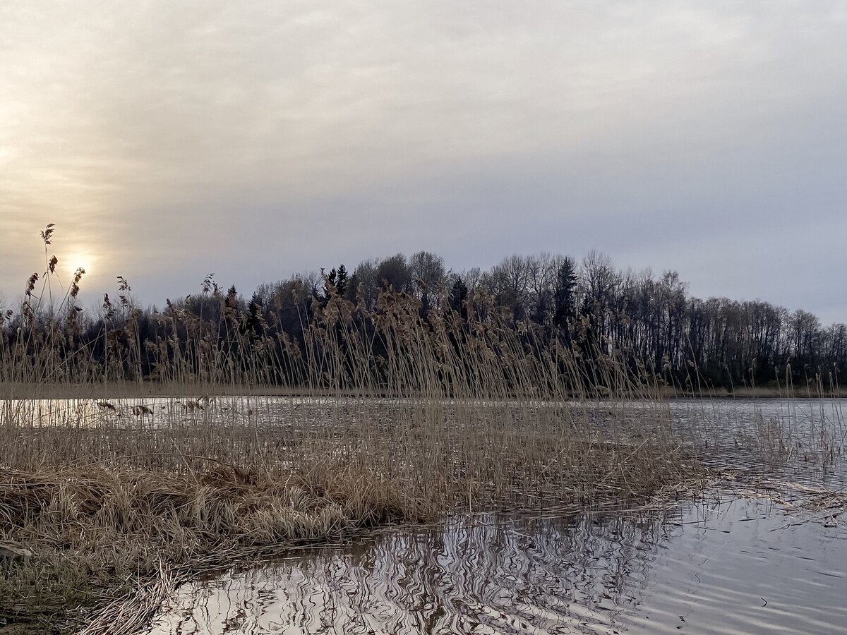 Плёс на закате 