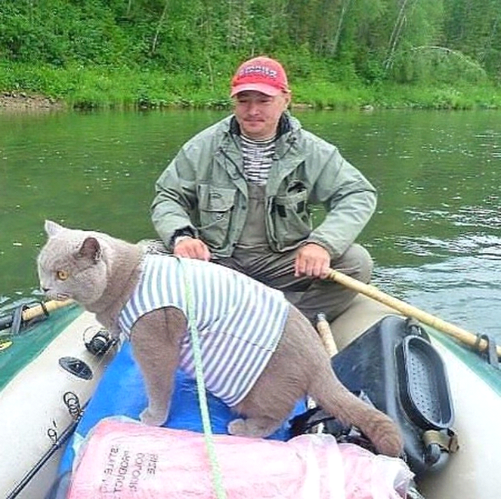 Рыбу ловить собрался. Приколы на рыбалке. Кот Рыбнадзор. Прикольный Рыбак. Кот на рыбалке.