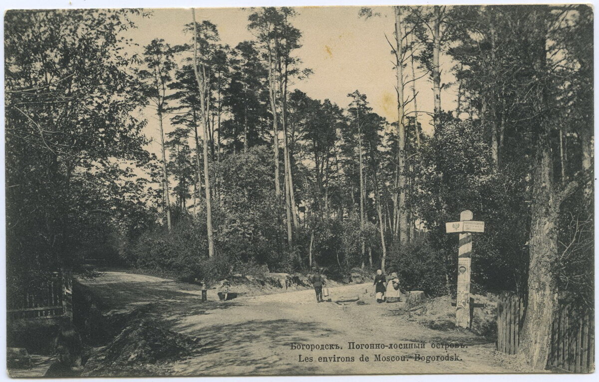 Богородское на фототипиях «Шерер, Набгольц и К» 1904 года | Память  места_Москва | Дзен