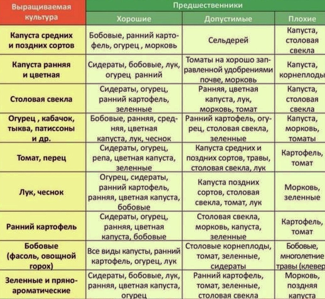 Севооборот в огороде схема