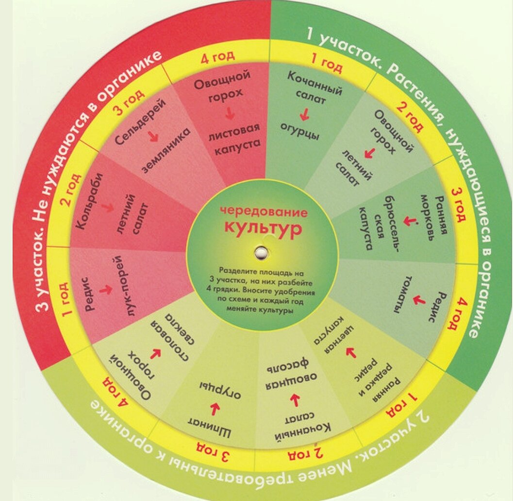 Чередование посадок овощных культур таблица