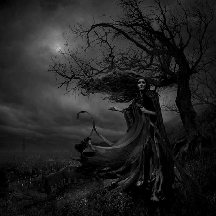 яндекс картинки