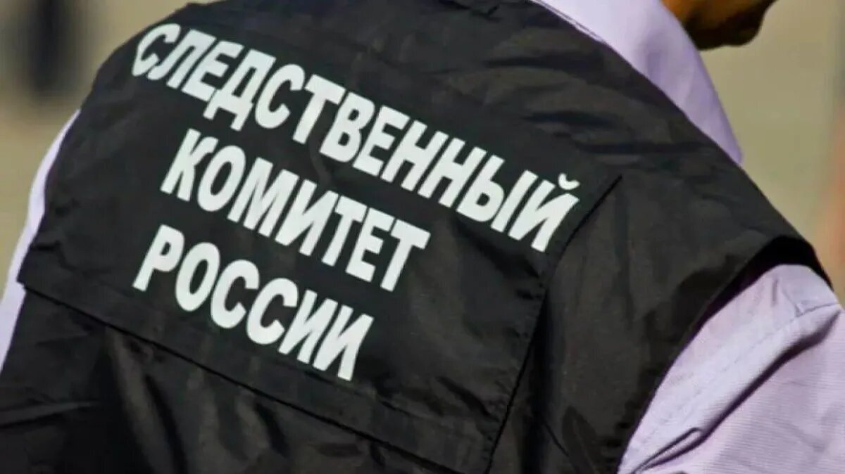 Подростки избили женщину и сломали ей ногу в Новосибирской области —  Бастрыкин взял дело под свой контроль | Драга.Лайф | Дзен