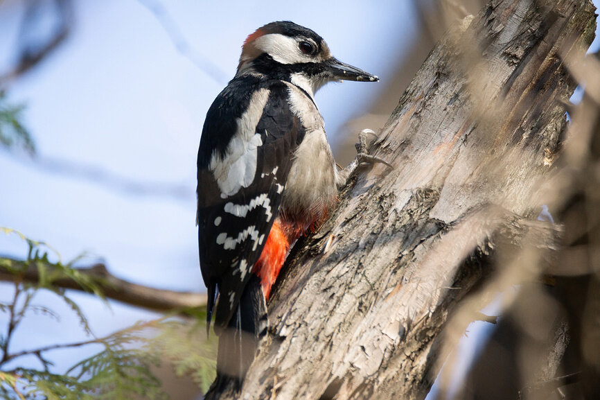 Фото из фотобанка Лори 