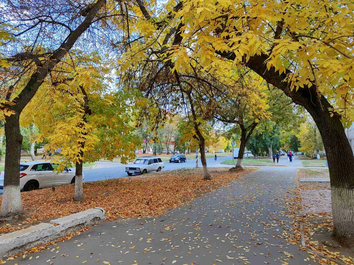 Фото автора.