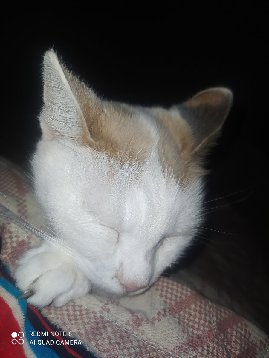 Сонька спит