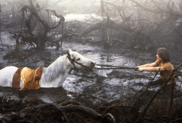 Лошадь с интересом осматривала окружающую местность. Она машинально пережевывала траву, даже не глядя на то, что за растения срывала губами.-2