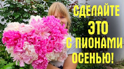 Descargar video: Что нужно сделать с пионами осенью, уход и подкормка