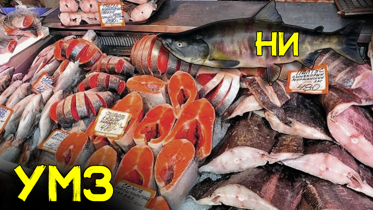 Что такое УМЗ, НДМ, НИ и другие непонятные буквы на ценниках с рыбой