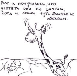 Картинка из Интернета