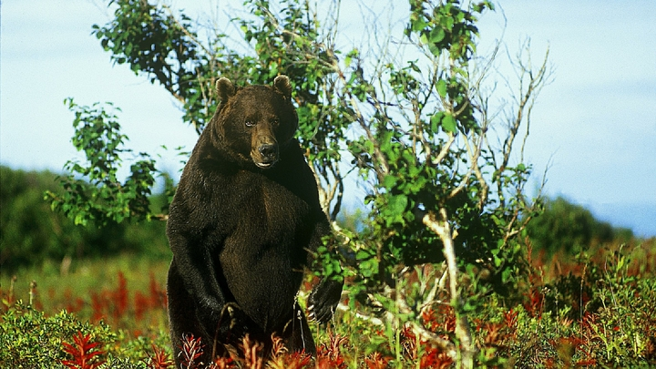ANDREY NECHAEV/RUSSIAN LOOK/GLOBALLOOKPRESS 