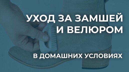 Как ухаживать за замшей и велюром в домашних условиях. Обработка спилка велюра в домашних условиях