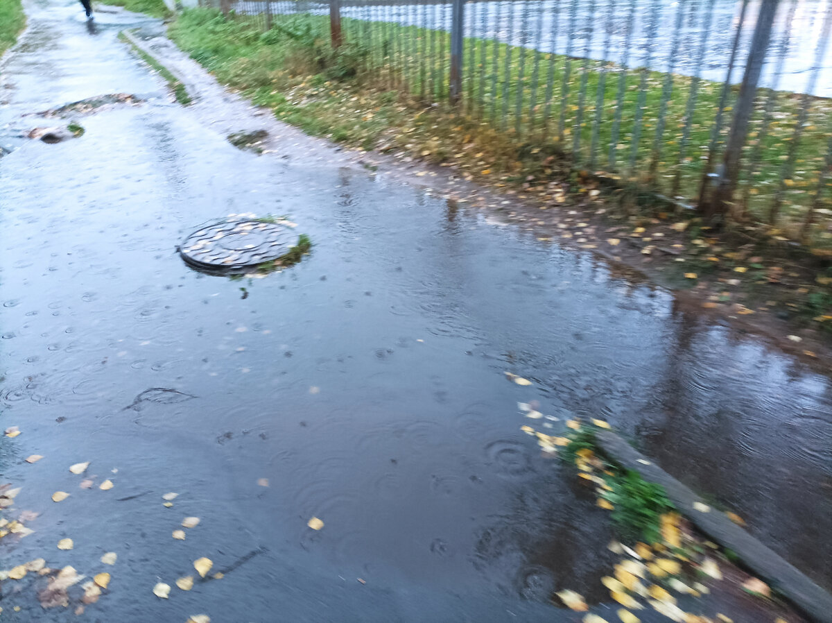 Деревню Гадюкино затопило