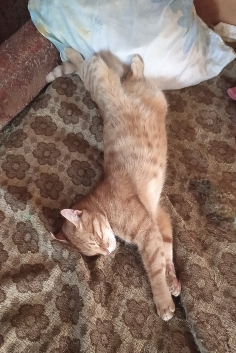 Личное  фото