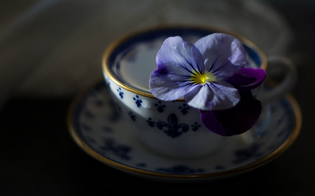 Яндекс картинки