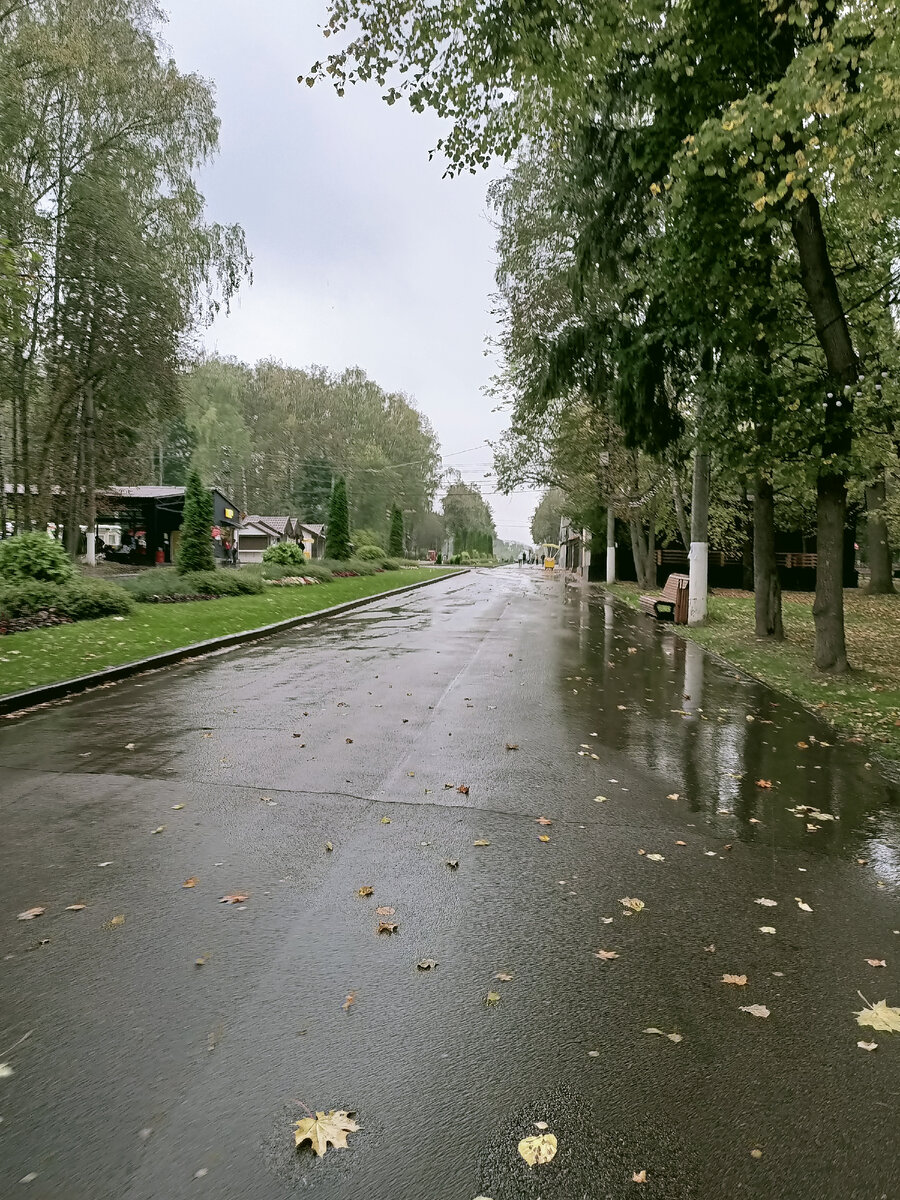 У нас очень красивый парк, есть на что посмотреть 🥰