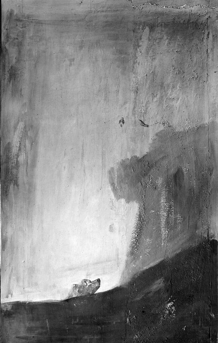 На фотографии Ж. Лорана, сделанной ок. 1874 года, до переноса картины из «Дома Глухого», можно увидеть предположительно очертания скалы и птиц, на которых смотрит собака.