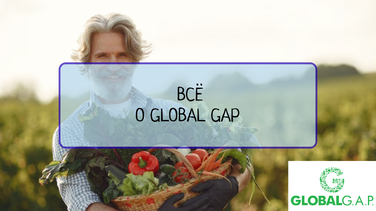 Рассказываем о базовых принципах и требованиях стандарта GLOBAL GAP, который гарантирует безопасность и качество сельскохозяйственной продукции