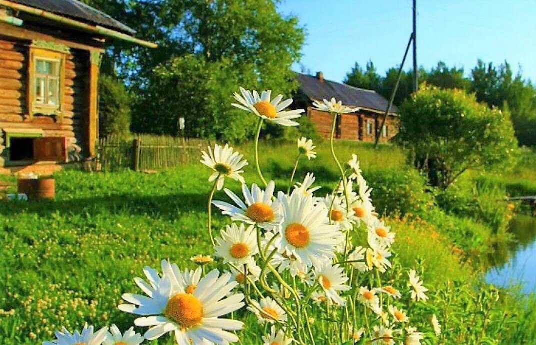 фото из свободных источников