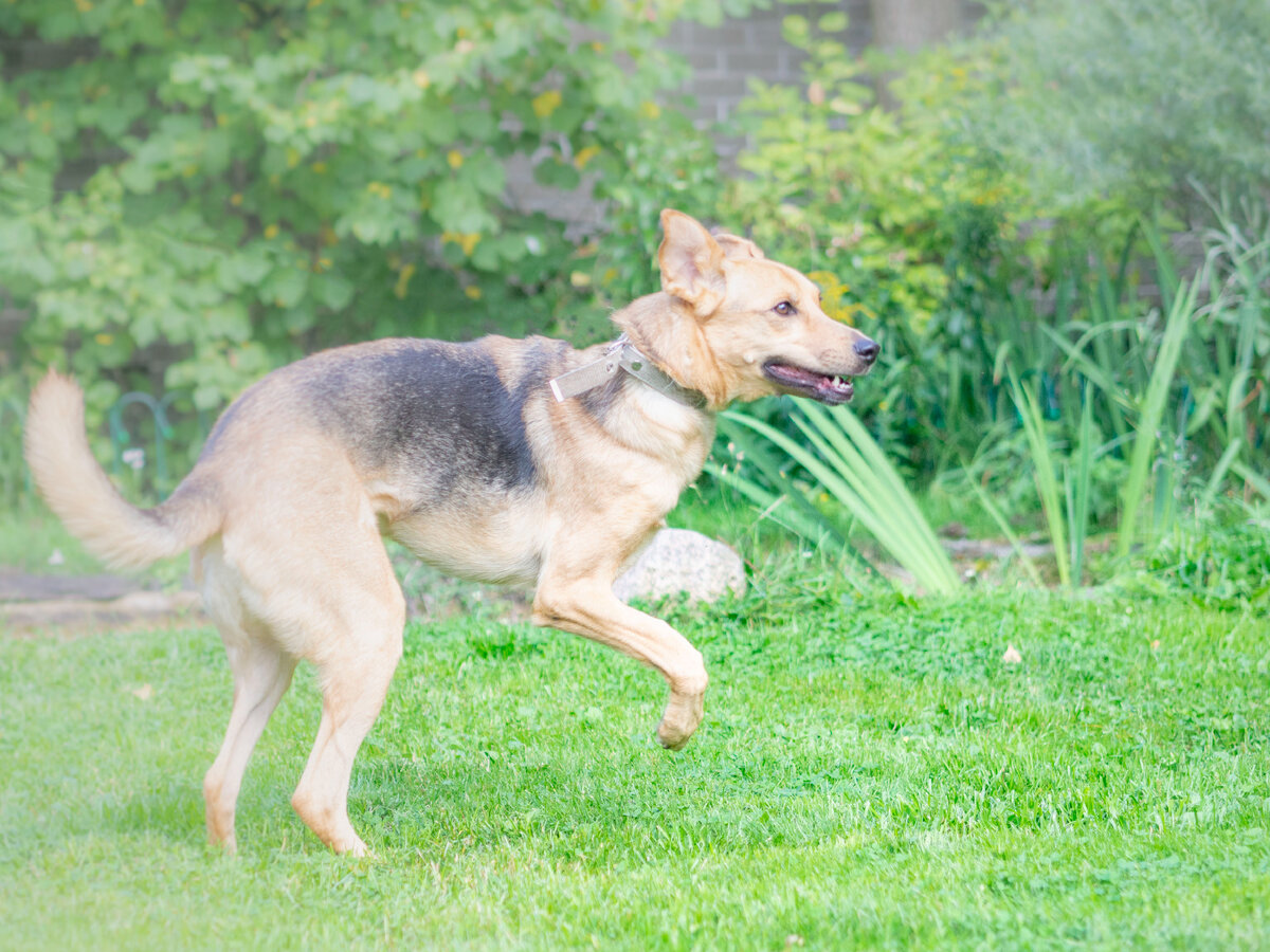"Попробуй догони!"