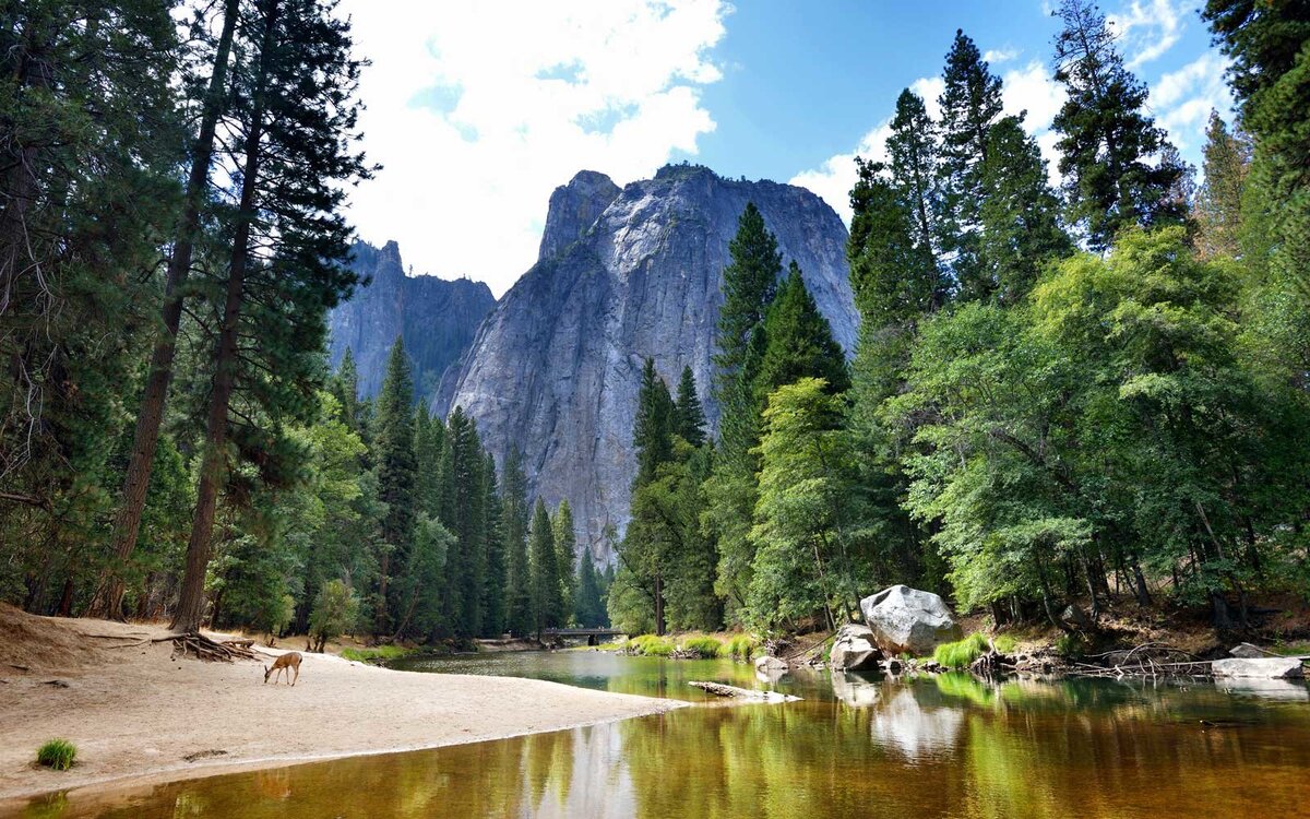 Национальный парк в Калифорнии Йосемити