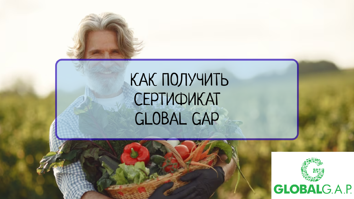 Разбираем процесс получения сертификата GLOBAL GAP и необходимые шаги для его получения. Узнайте, как получить сертификат GLOBAL GAP и стать одним из немногих сертифицированных поставщиков сельскохозяйственной продукции