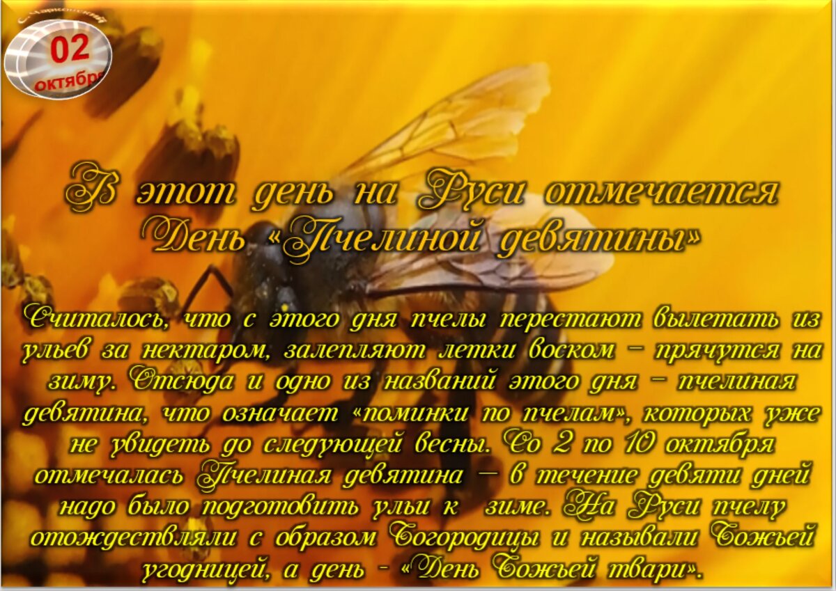 Встречаем новый день