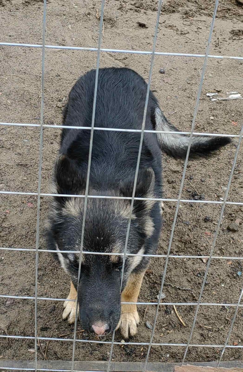 Находка