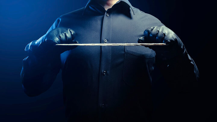 ФОТО: BREAKERMAXIMUS/SHUTTERSTOCK.COM